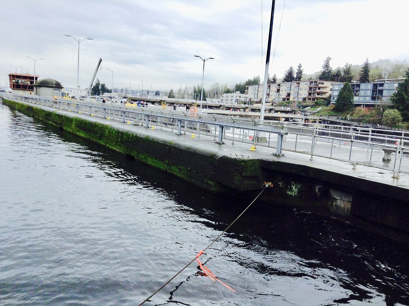 The lock chambers and adjoining water at Seattle's Ballard Locks.