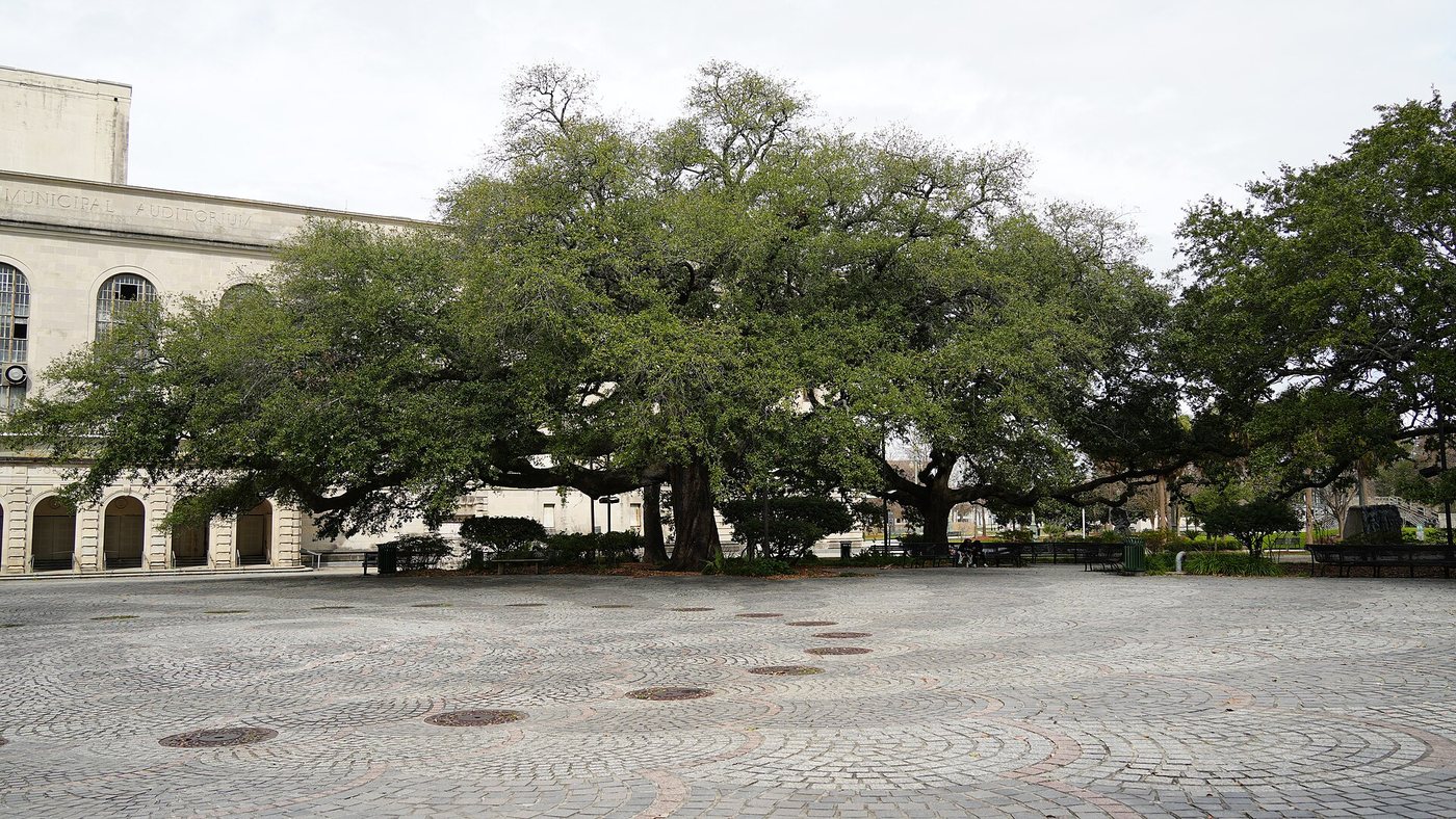 The paved gathering space and trees at Congo Square in New Orleans.