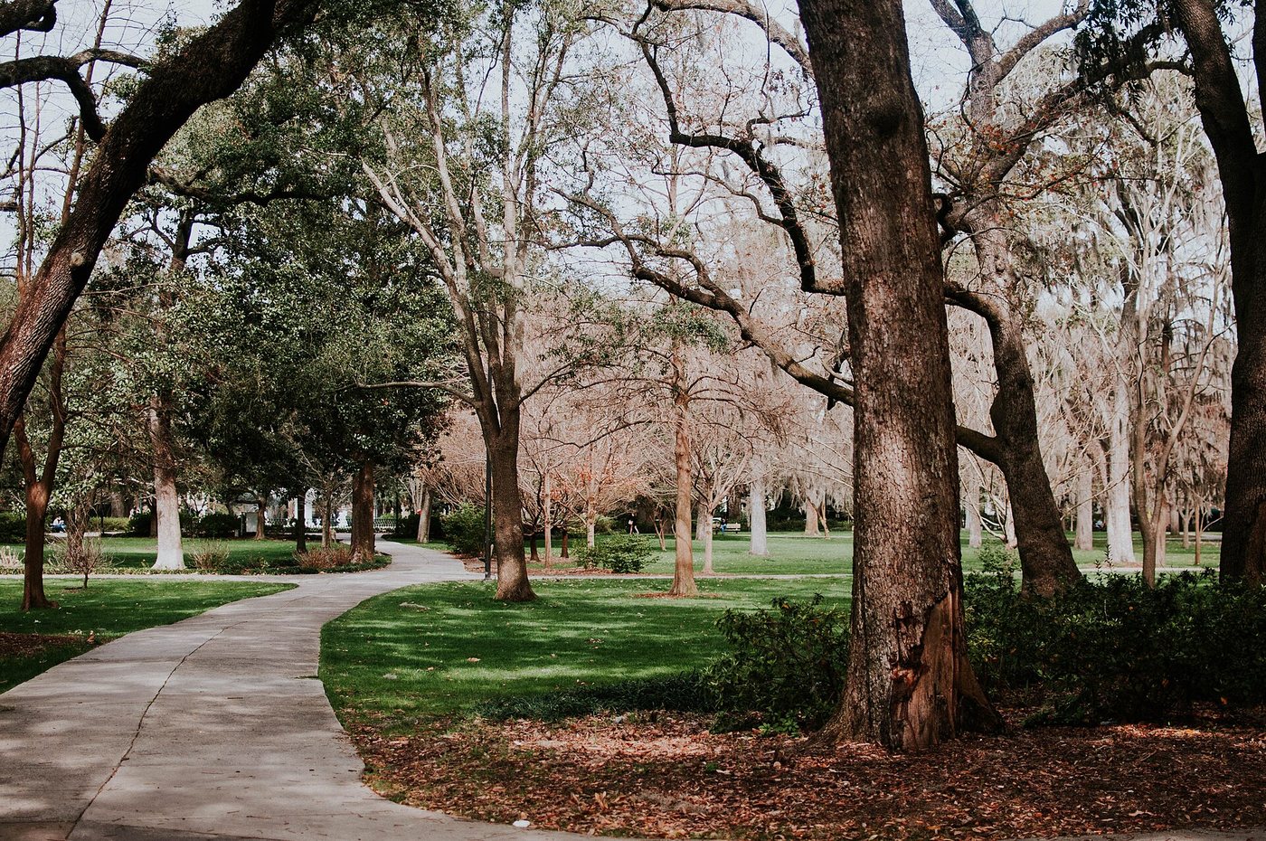 Tree-lined paths through Savannah's Forsyth Park.