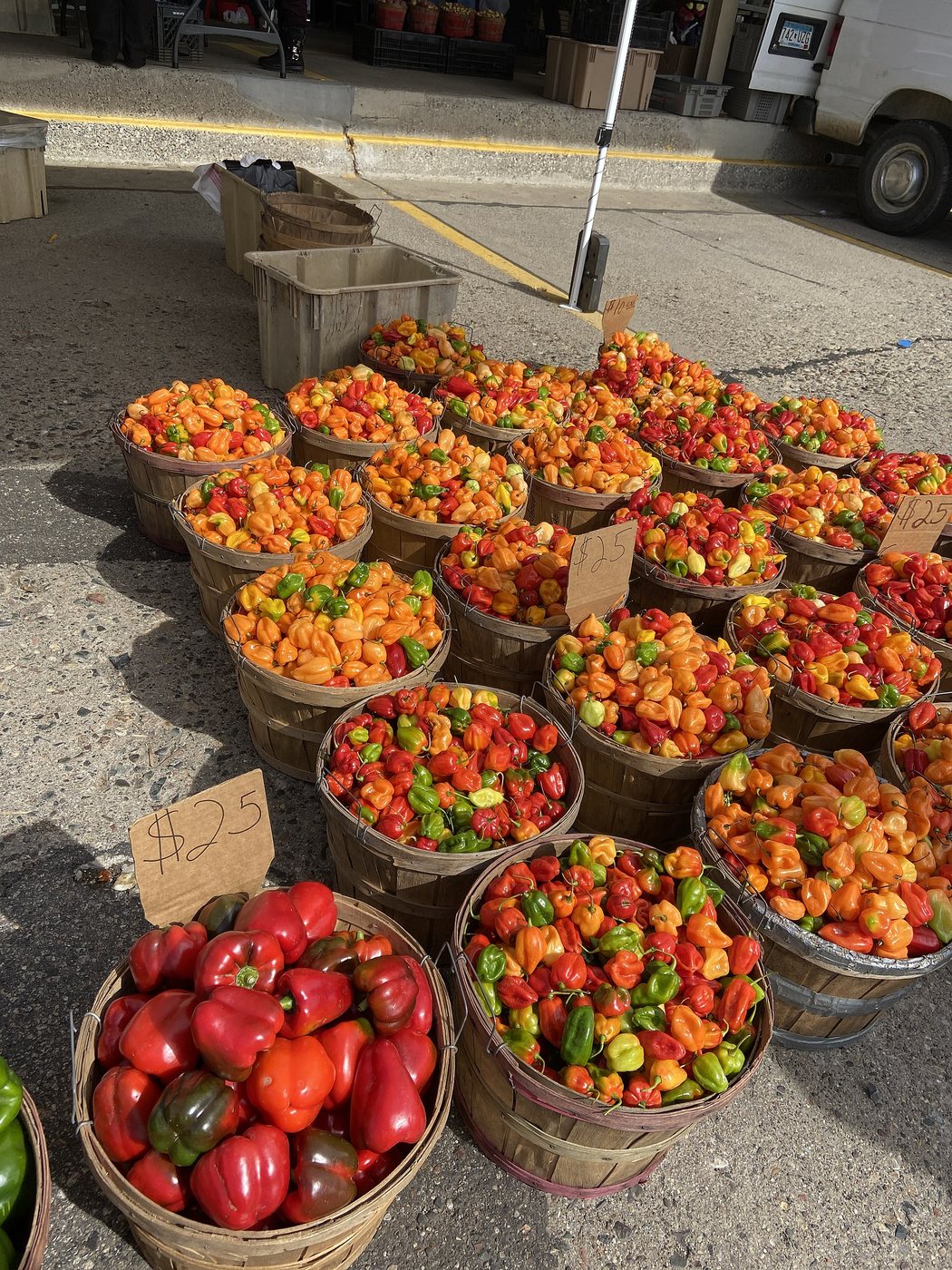 Peppers offered at the Lyndale Farmers Market in Minneapolis.